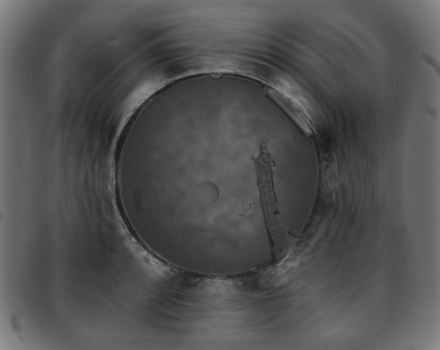 X0000095531088200712141457