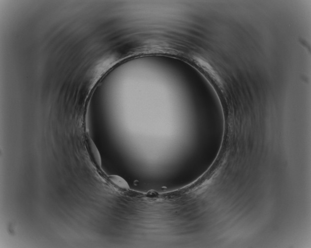 X0000095531089200712141457