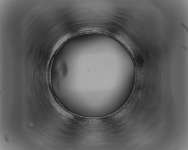 X0000095531090200712141457