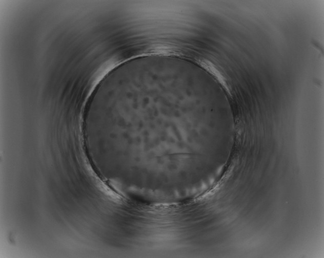 X0000095531091200712141457