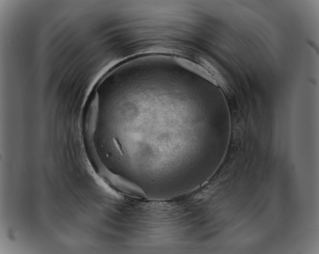 X0000095531092200712141457