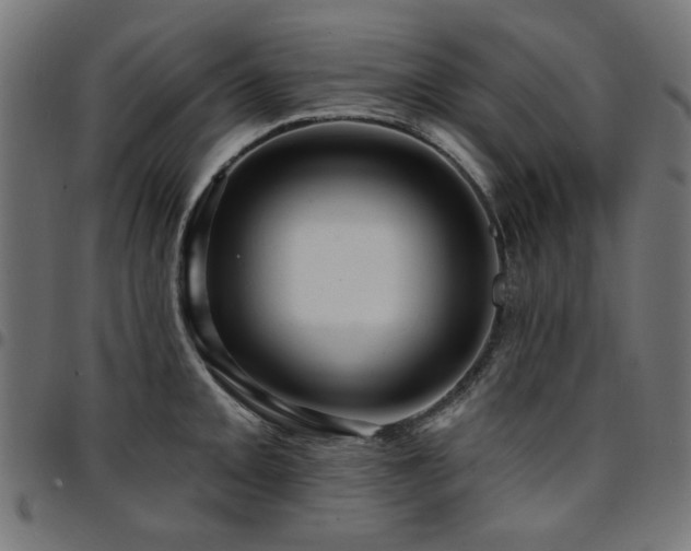 X0000095531093200712141457
