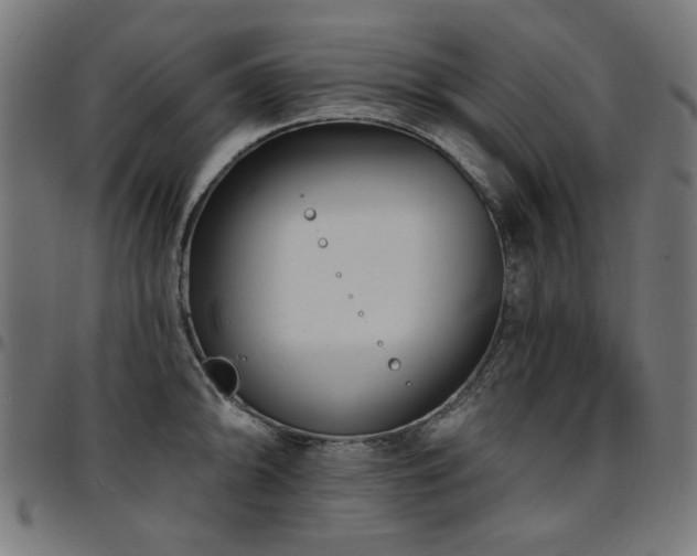 X0000095531094200712141457