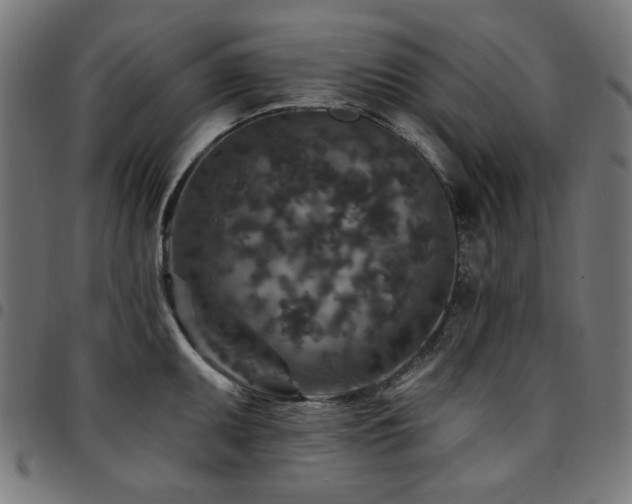 X0000095531095200712141457