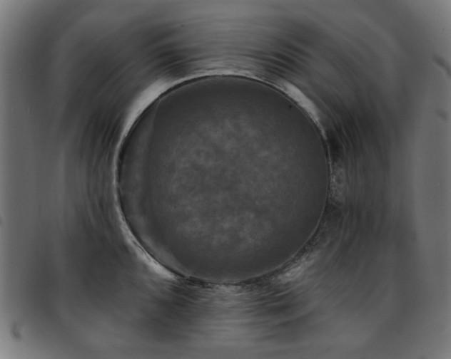 X0000095531096200712141457
