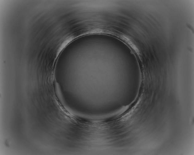 X0000095531097200712141457