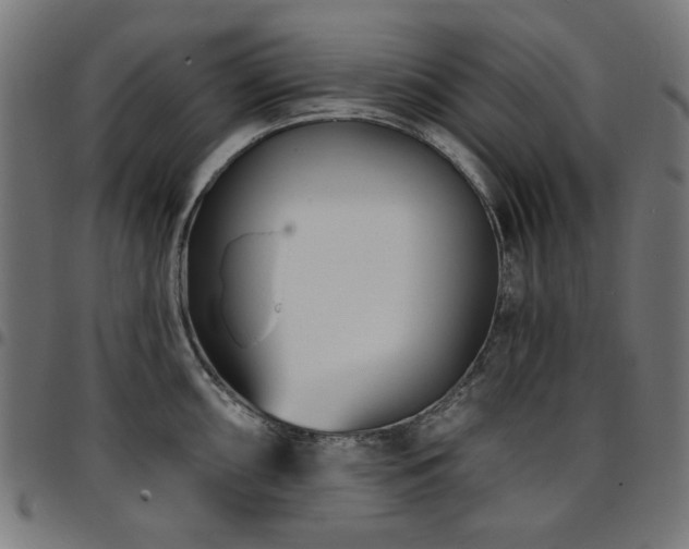 X0000095531098200712141457