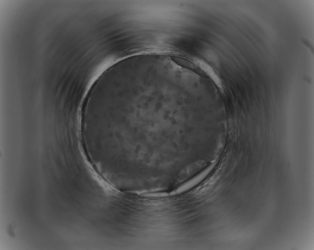X0000095531099200712141457