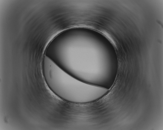 X0000095531100200712141457