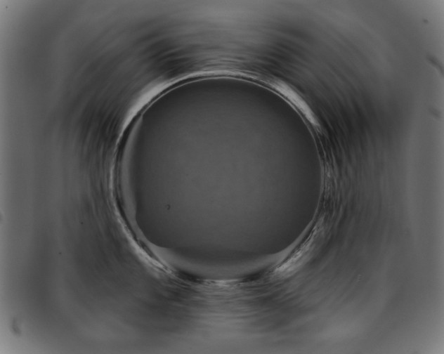 X0000095531101200712141457