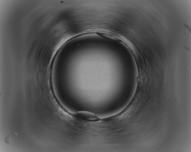 X0000095531102200712141457