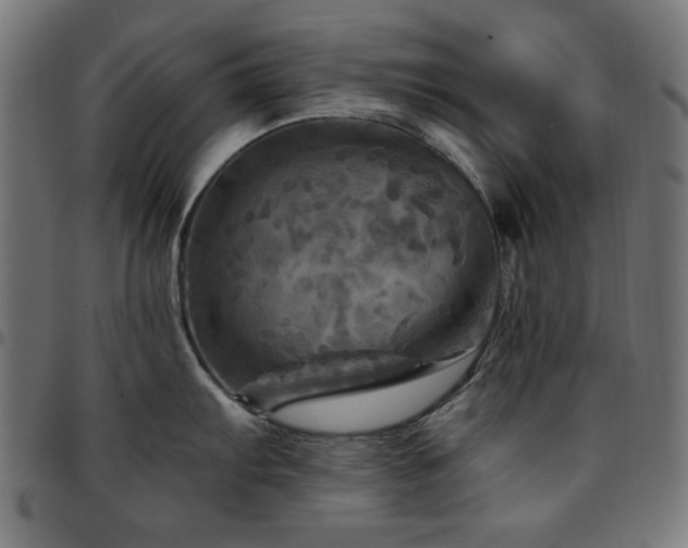 X0000095531103200712141457