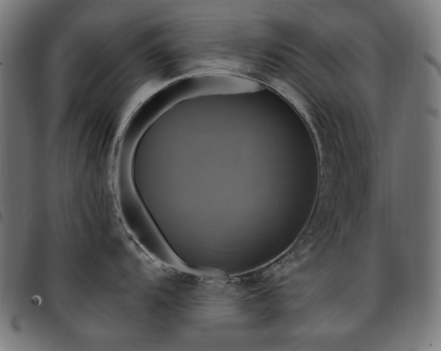 X0000095531104200712141457
