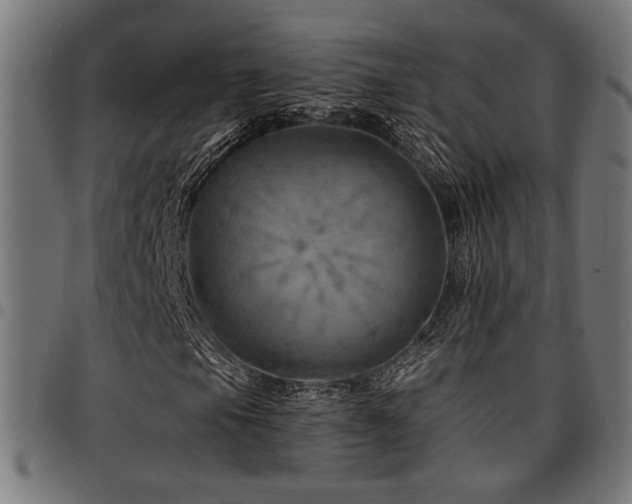 X0000095531105200712141456