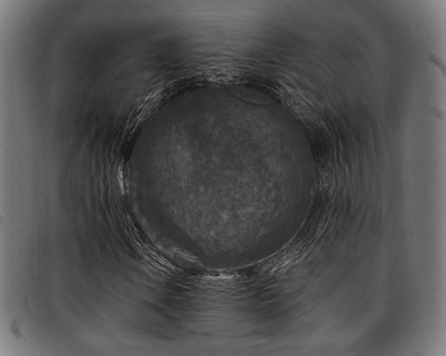 X0000095531106200712141456
