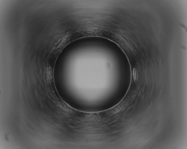 X0000095531107200712141456