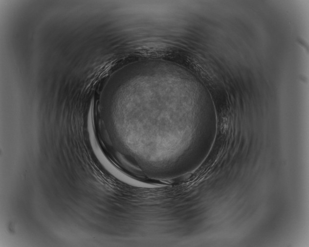 X0000095531108200712141456