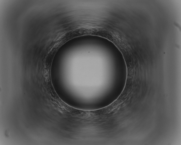 X0000095531109200712141456