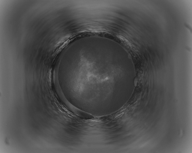 X0000095531110200712141456