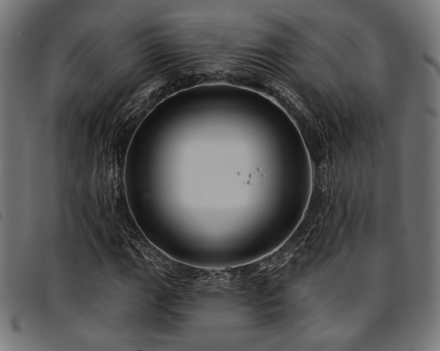 X0000095531111200712141456