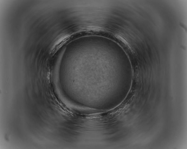 X0000095531112200712141456