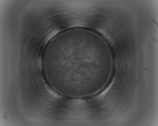 X0000095531113200712141456