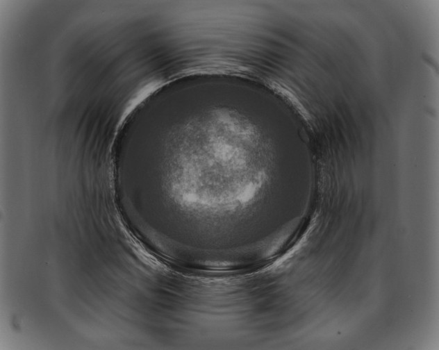 X0000095531114200712141456