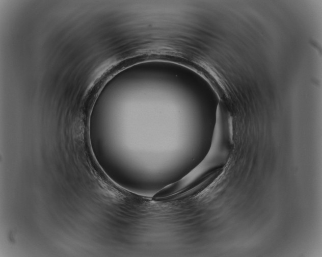 X0000095531115200712141456