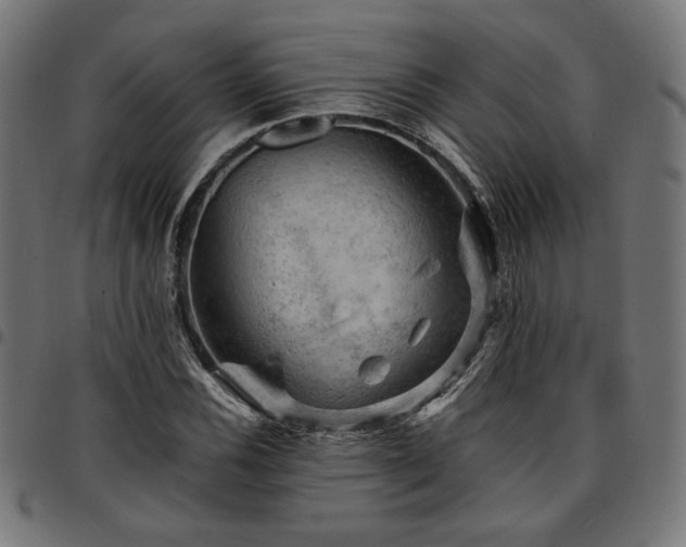 X0000095531116200712141456
