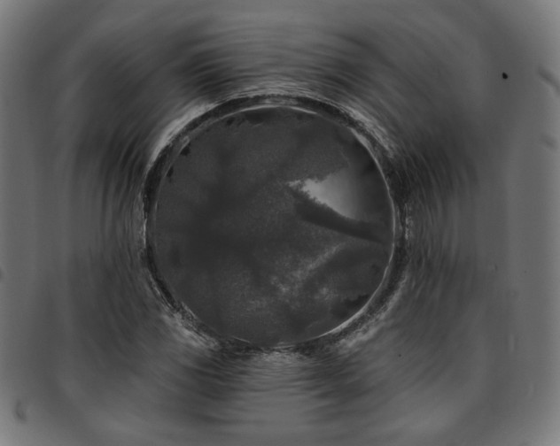 X0000095531117200712141456