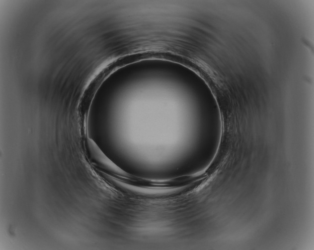 X0000095531118200712141456