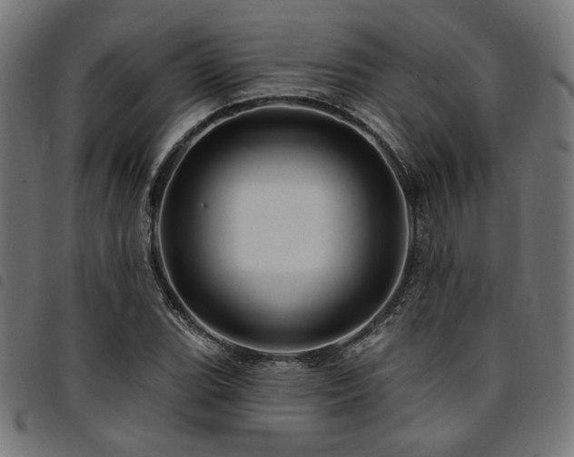 X0000095531119200712141456