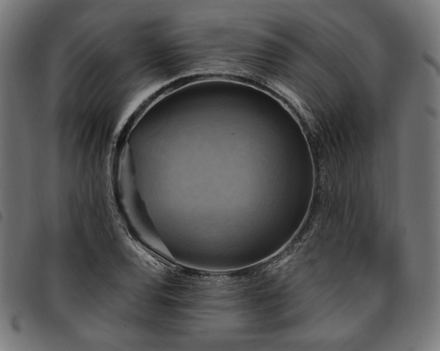 X0000095531120200712141456