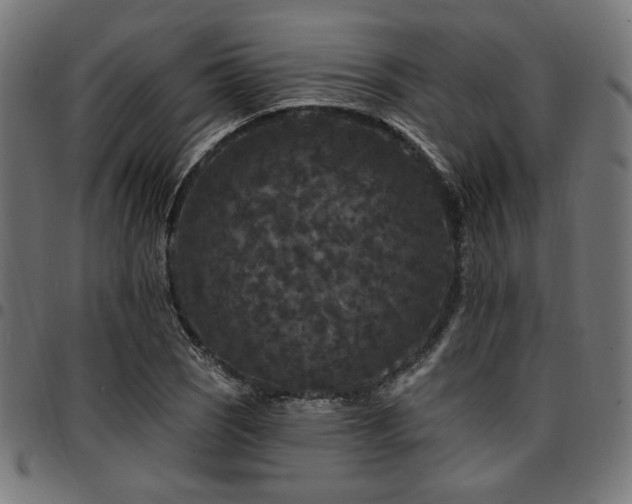 X0000095531121200712141456