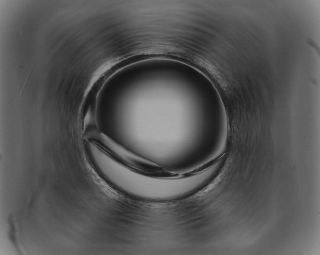 X0000095531122200712141456