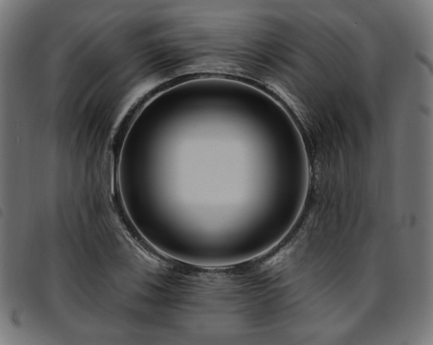 X0000095531123200712141456