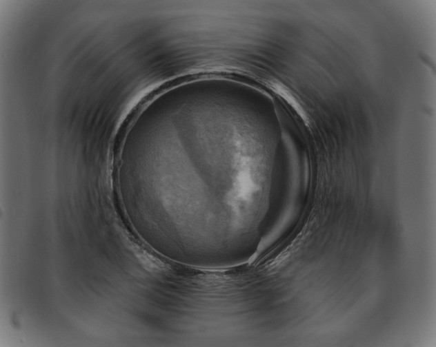 X0000095531124200712141456