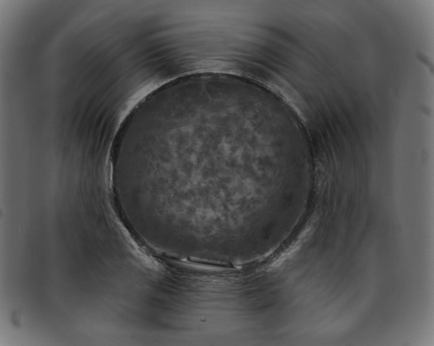 X0000095531125200712141456