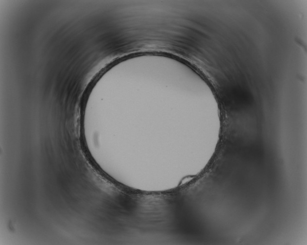 X0000095531126200712141456
