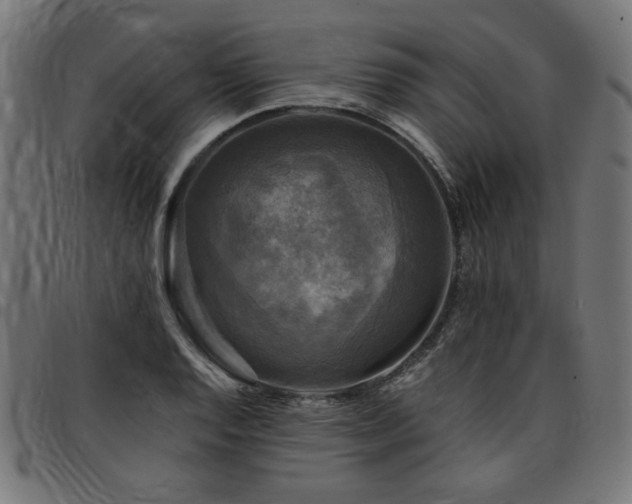 X0000095531128200712141456