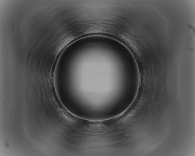 X0000095531129200712141456