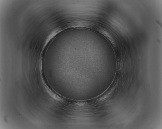X0000095531130200712141456