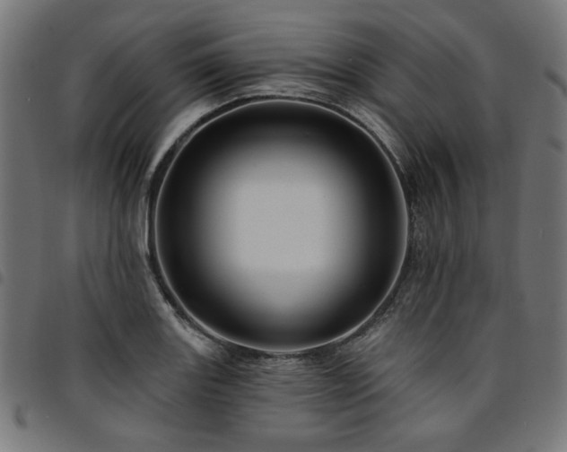 X0000095531131200712141456