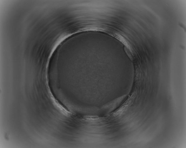 X0000095531132200712141456