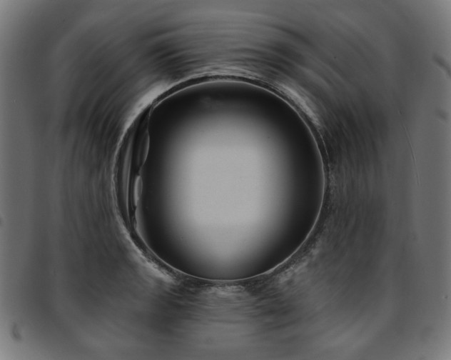 X0000095531133200712141456