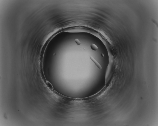 X0000095531134200712141456
