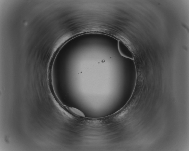 X0000095531135200712141456