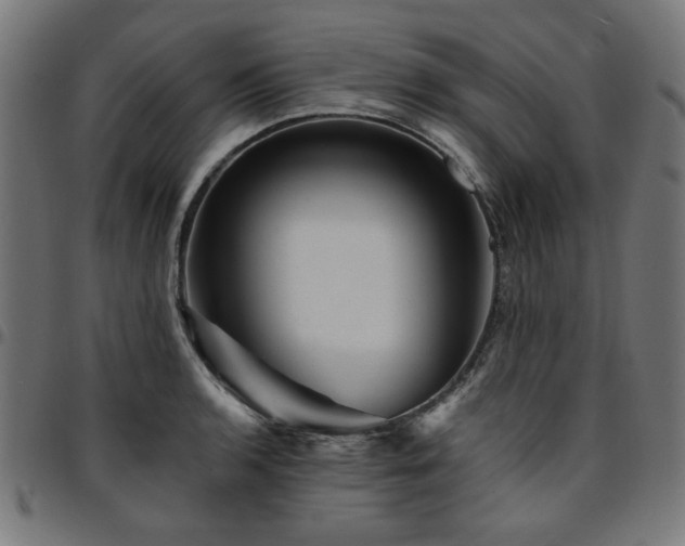 X0000095531136200712141456