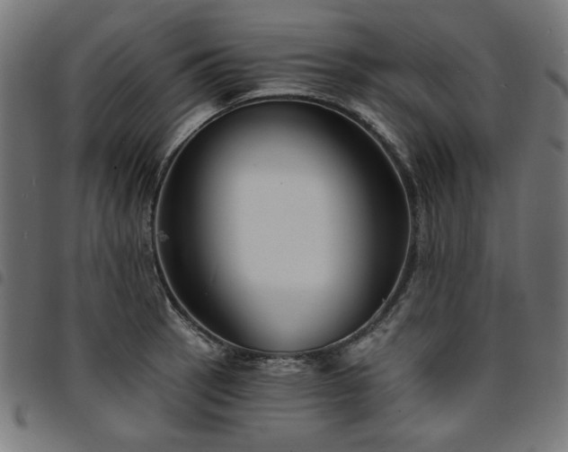 X0000095531137200712141456