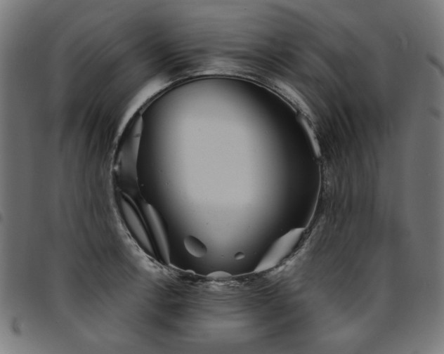 X0000095531138200712141456